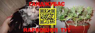 спайс Аргун