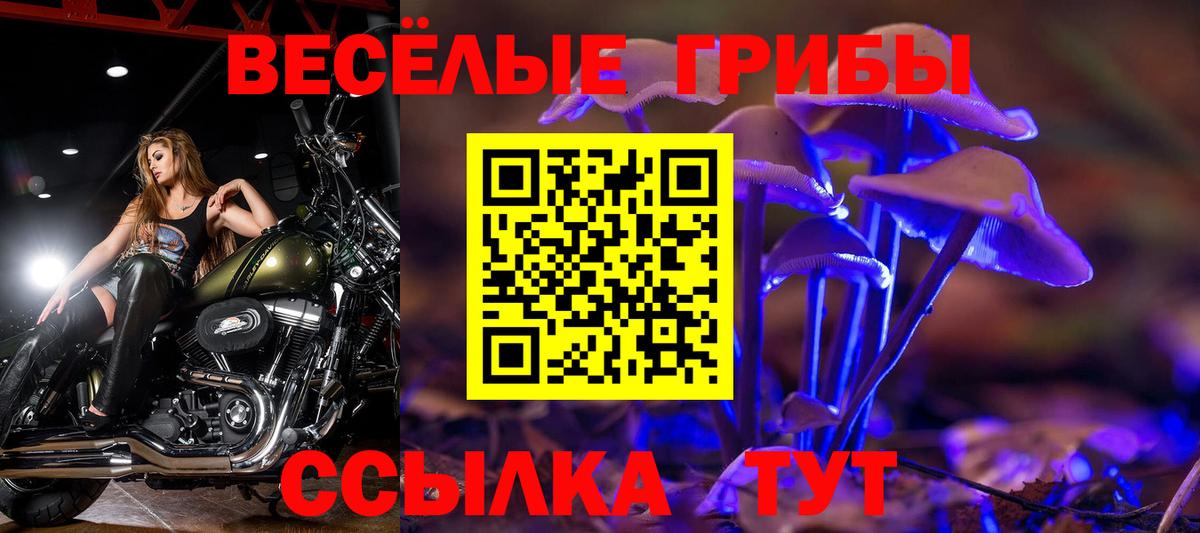 Галлюциногенные грибы Cubensis Вятские Поляны