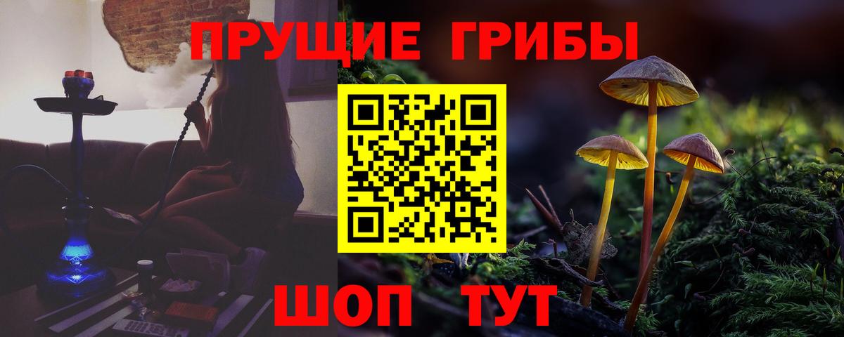 Псилоцибиновые грибы GOLDEN TEACHER  Вход с VPN  Вятские Поляны  Псилоцибиновые грибы GOLDEN TEACHER 